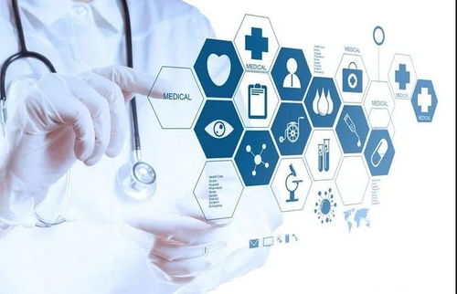 貓九視角 洞察大健康產業發展趨勢，賦能信息咨詢服務新篇章